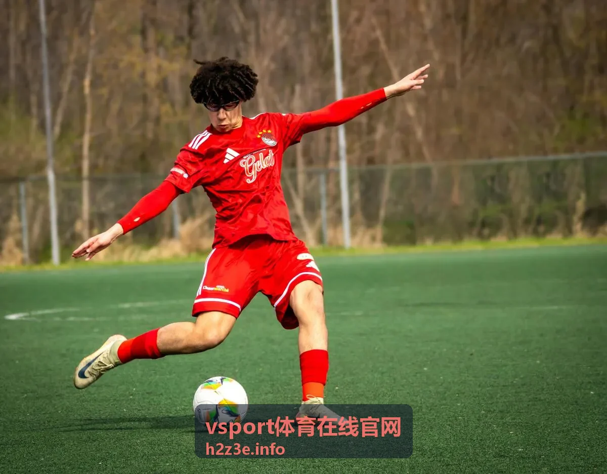 vsport体育在线官网比分演示界面